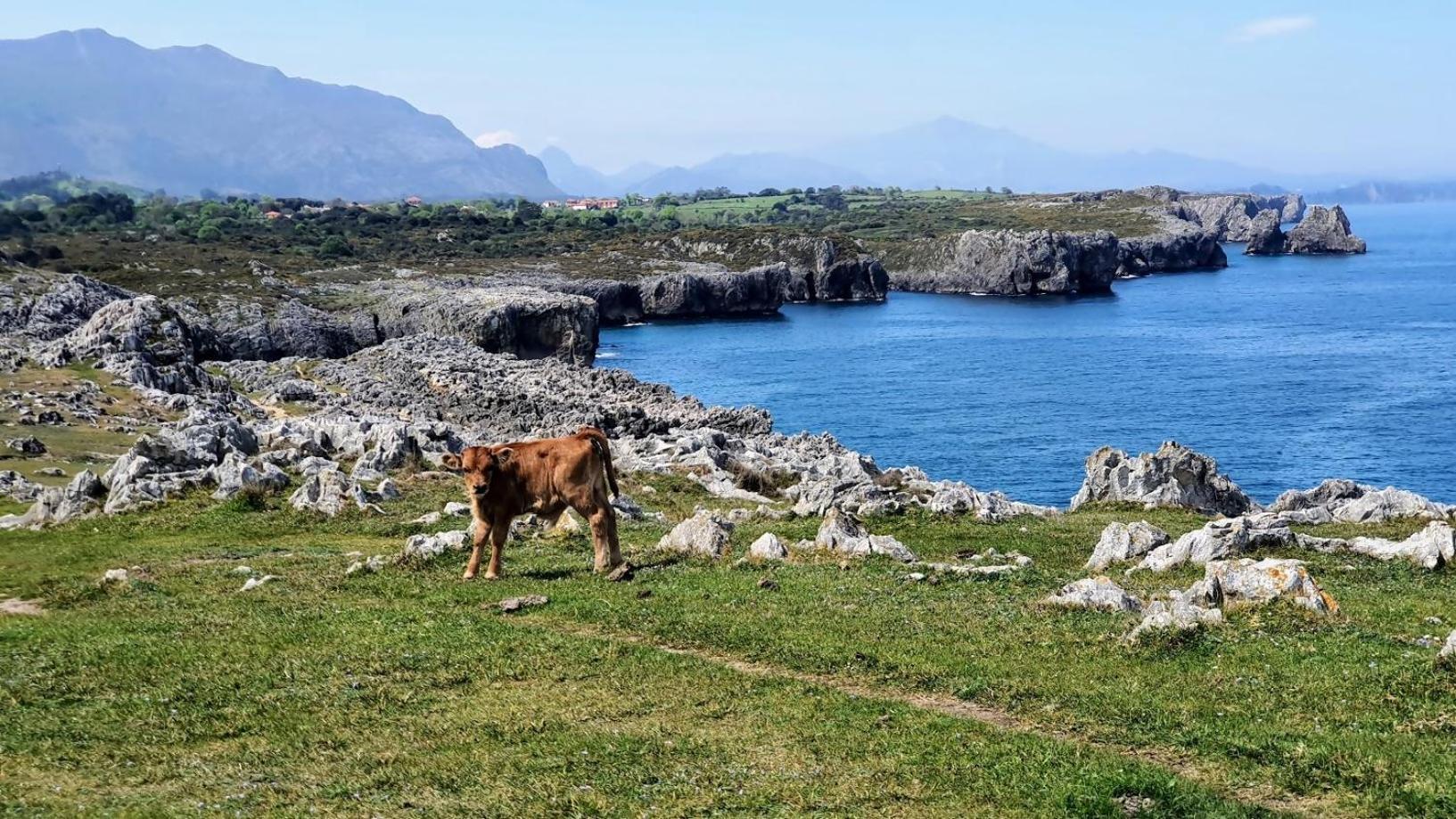 Casa Vacacional Paula Villa Llanes Eksteriør bilde