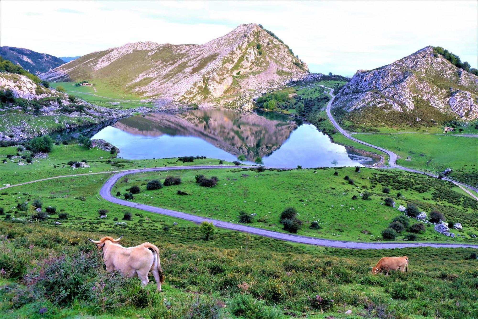 Casa Vacacional Paula Villa Llanes Eksteriør bilde